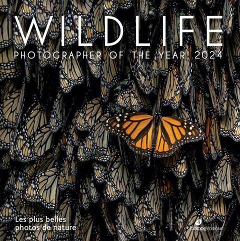 Wildlife Photographer Of The Year: Les Plus Belles Photos de Nature