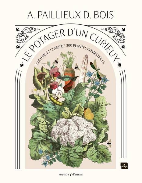 Le potager d un curieux