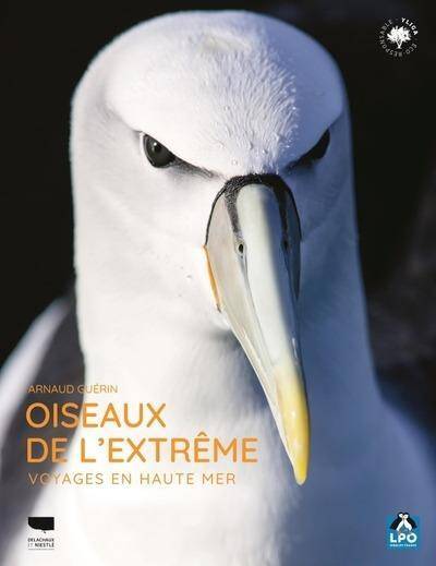 Oiseaux de l'Extreme : Un Voyage en Haute Mer