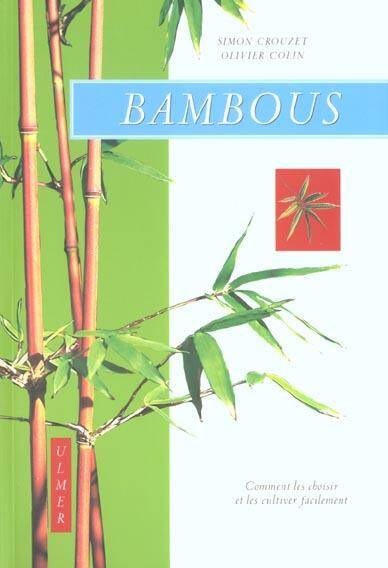 Bambous Comment les Cultiver Facilement