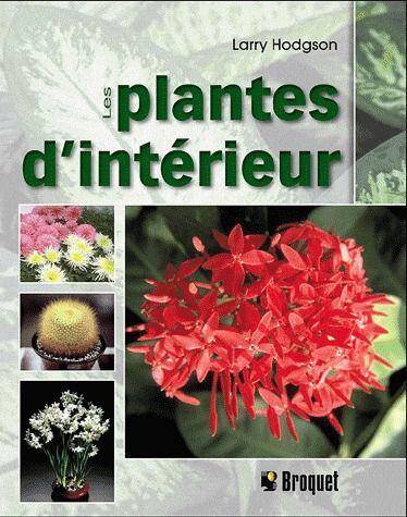 Les Plantes D'Interieur