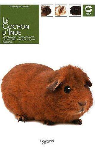 Le Cochon D'Inde