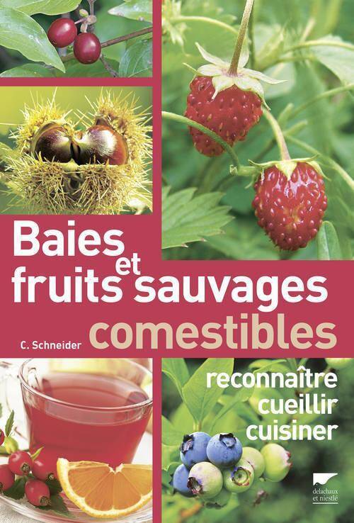 Baies et Fruits Sauvages Comestibles : Reconnaitre, Cueillir, Cuisiner