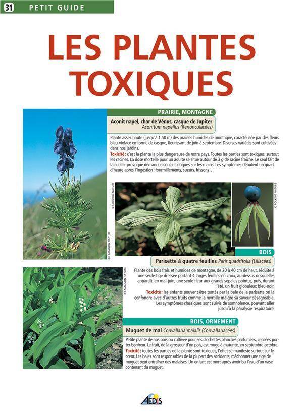 Les Plantes Toxiques