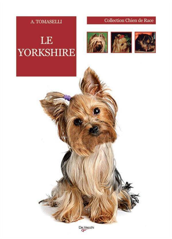 Le Yorkshire