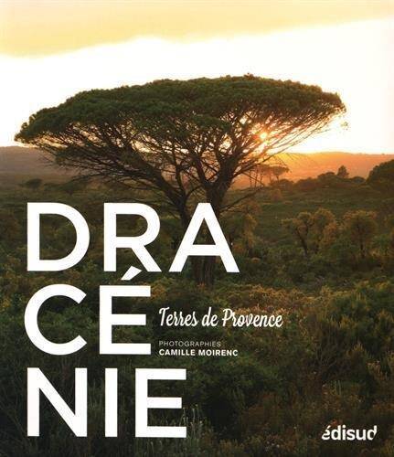 Dracenie