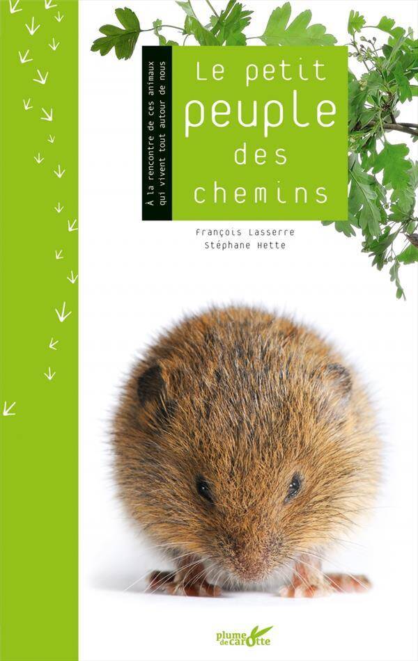 Le Petit Peuple des Chemins