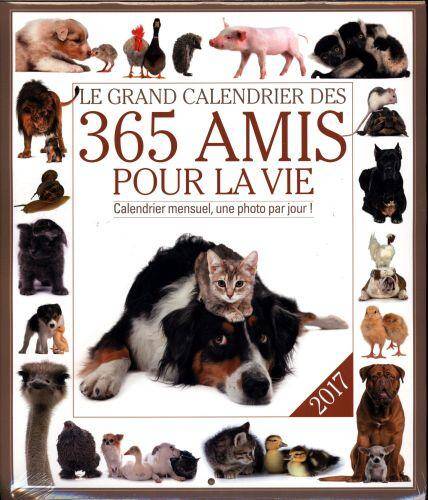 LE GRAND CALENDRIER DES AMIS P