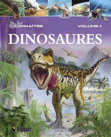 TOUT CONNAITRE T.4 ; DINOSAURES