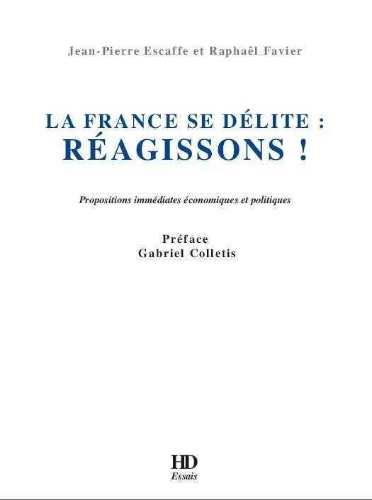 La France Se Delite: Reagissons Propositions Immediates Economiques