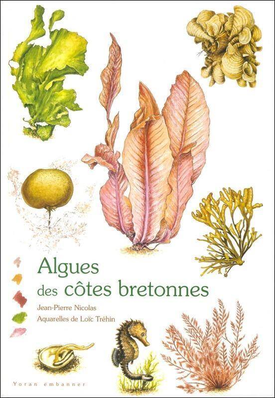 ALGUES DES COTES BRETONNES