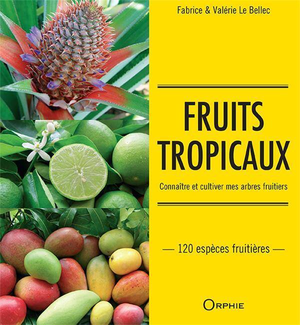 Fruits tropicaux : connaître et cultiver mes arbres fruitiers