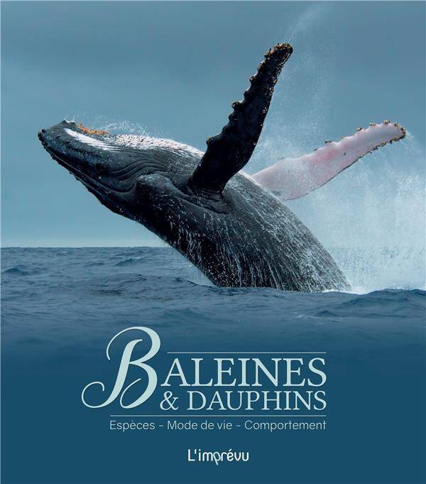 Baleines et Dauphins. Especes, Mode de Vie, Comportement