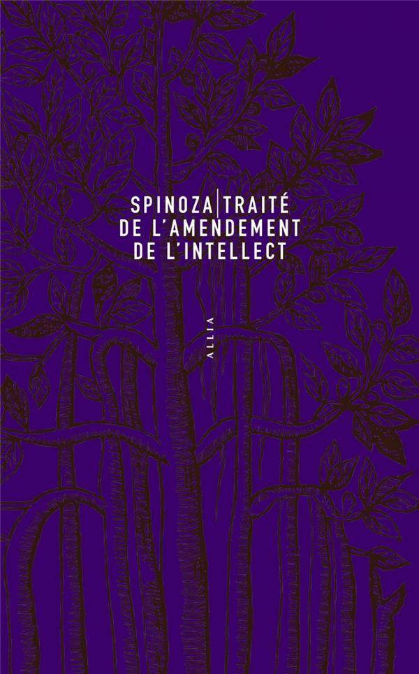 Traite de l'Amendement de l'Intellect