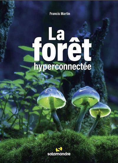 LA FORET HYPERCONNECTEE