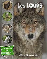 LOUPS