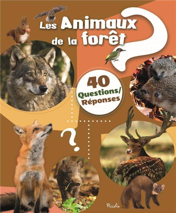 40 Questions/reponses ; les Animaux de la Foret