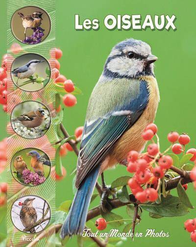 OISEAUX DES PARCS ET JARDINS