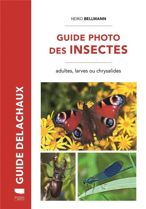 Guide Photo des Insectes - Adultes, Larves Ou Chrysalides