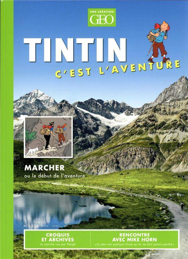 Tintin, c'est l'aventure: No 15