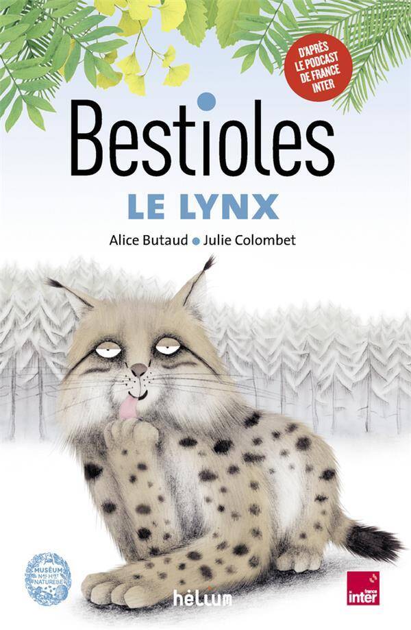 Le lynx