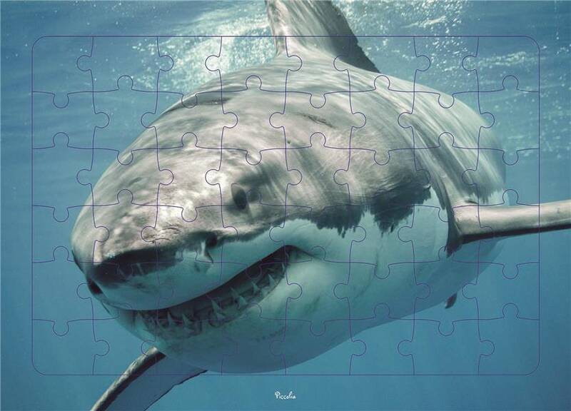 REQUIN - PUZZLE PHOTO 48 PIECE