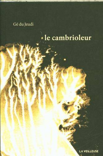 Le cambrioleur