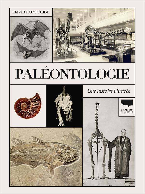 Paleontologie. Une Histoire Illustree