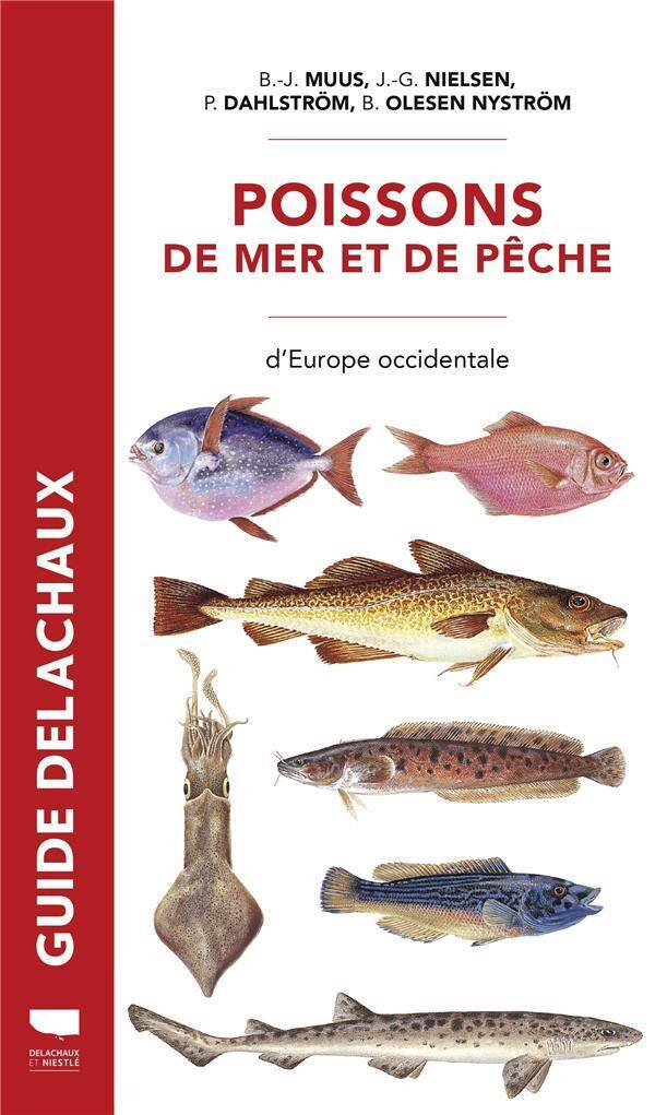 Poissons de Mer et de Peche. D'Europe Occidentale