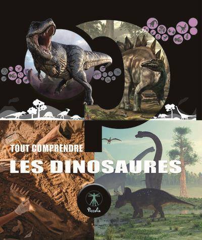 Tout Comprendre ; les Dinosaures