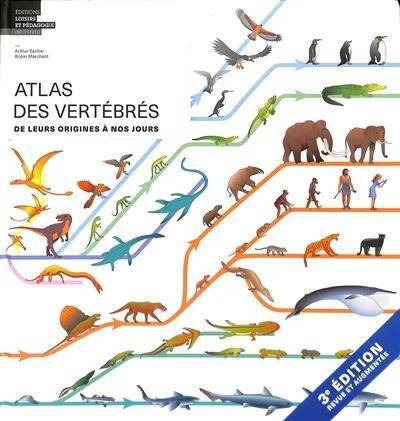 Atlas des vertèbres