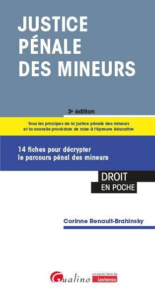 Justice Penale des Mineurs: 14 Fiches Pour Decrypter le Parcours