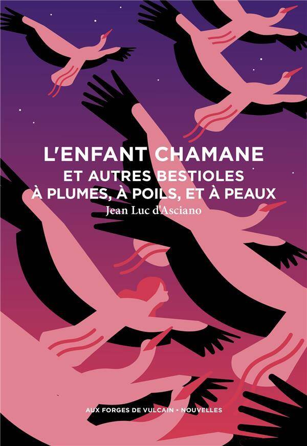 L'Enfant Chamane et Autres Bestioles a Plumes, a Poils, et a Peaux