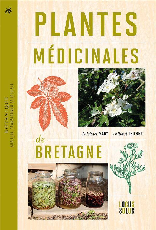 PLANTES MEDICINALES DE BRETAGNE