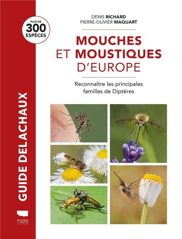 Mouches et Moustiques : Toutes les Familles de Dipteres D'Europe