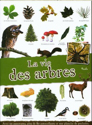 La vie des arbres