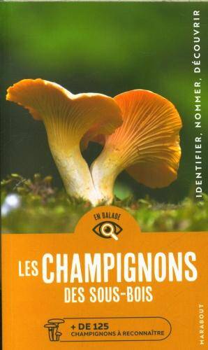 Les champignons des sous-bois