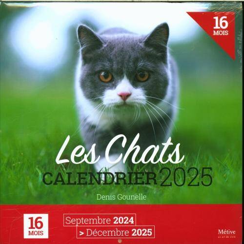 Les chats : calendrier 2025