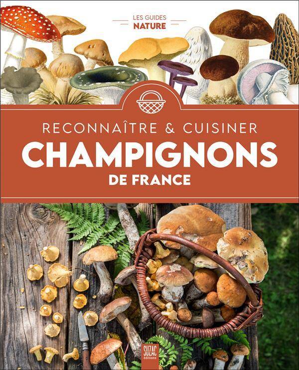 CHAMPIGNONS DE FRANCE : RECONNAITRE & CUISINER
