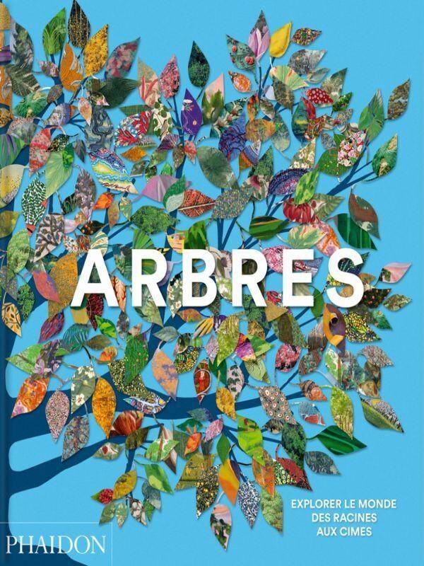 Arbres : explorer le monde, des racines aux cimes